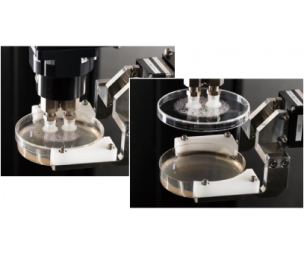 全自動菌落計數(shù)儀(培養(yǎng)皿自動搬運)